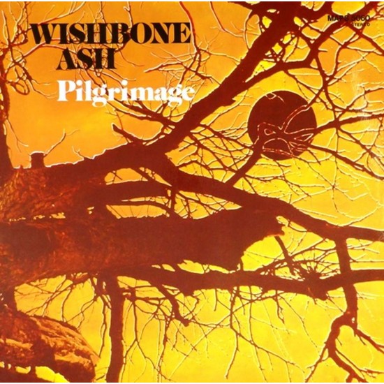 Пластинка Wishbone Ash Pilgrimage